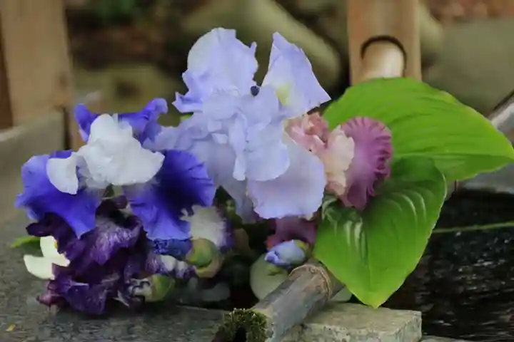 高司神社〜むすびの神の鎮まる社〜の手水舎