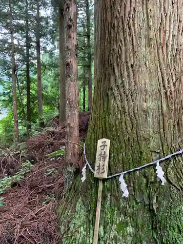 早池峯神社の自然