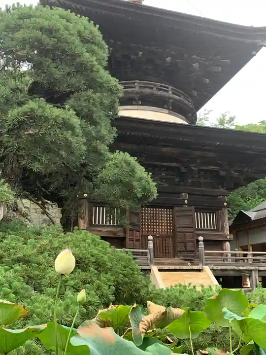 楽法寺(雨引観音)のその他建物