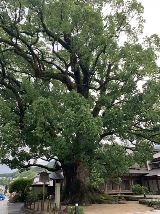 太宰府天満宮の自然