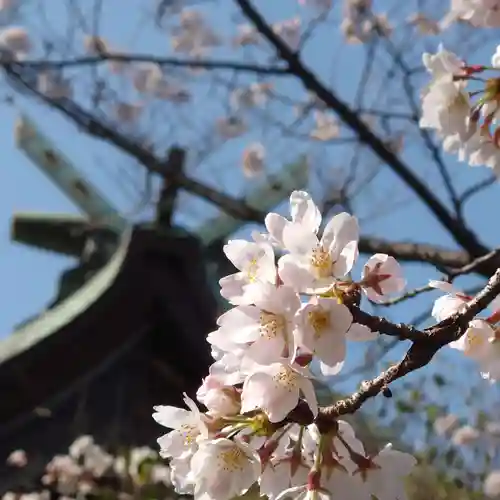 豊山八幡神社の自然