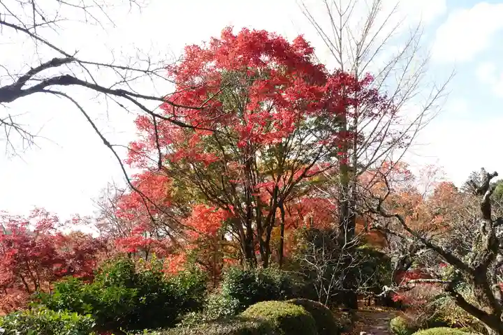 三室戸寺(京都府)