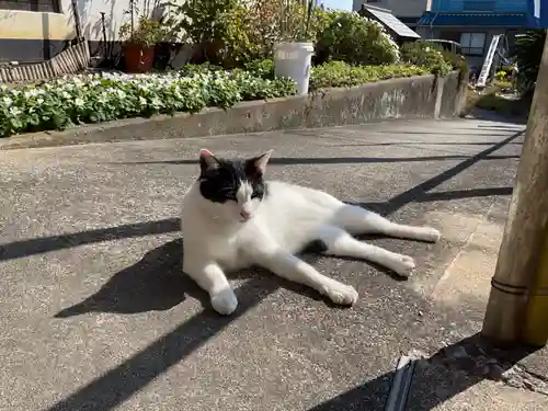 井際山 如意輪寺(愛知県)