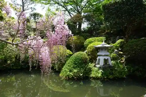 子安地蔵寺の庭園