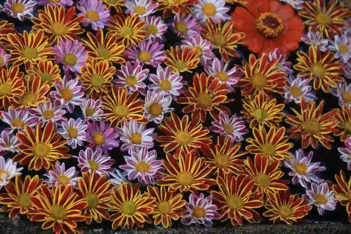 大鏑神社の手水舎