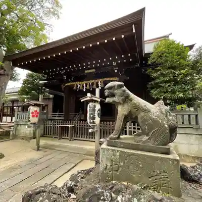 白幡天神社の狛犬
