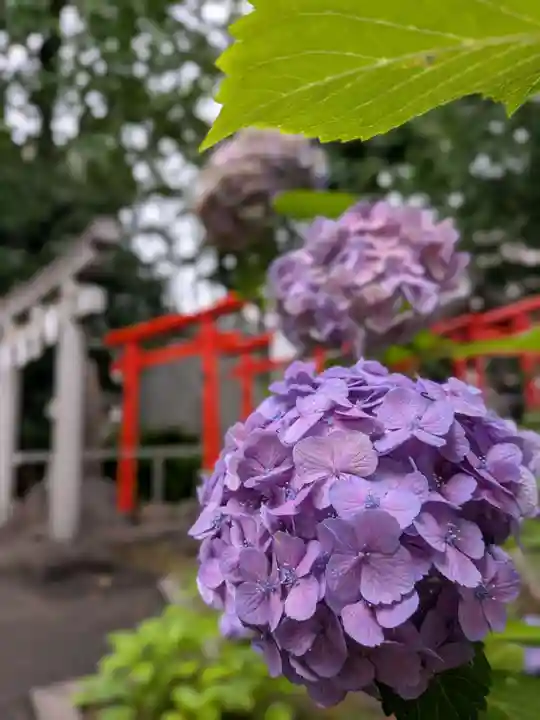 鳩森八幡神社(東京都)
