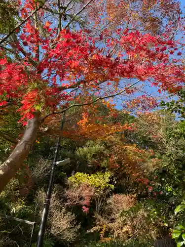 杉本寺(神奈川県)