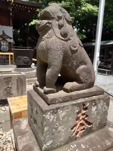 鎮守氷川神社の狛犬