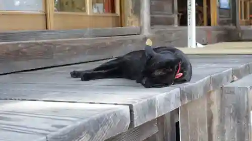 高司神社〜むすびの神の鎮まる社〜(福島県)