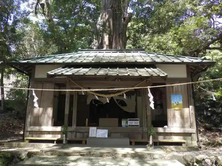 武速神社の本殿・本堂