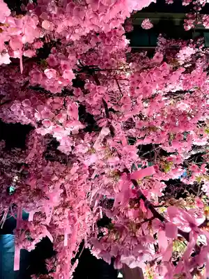 桜神宮(東京都)