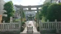 高田氷川神社の鳥居