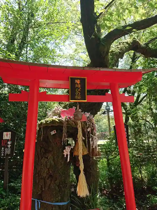 冠稲荷神社(群馬県)