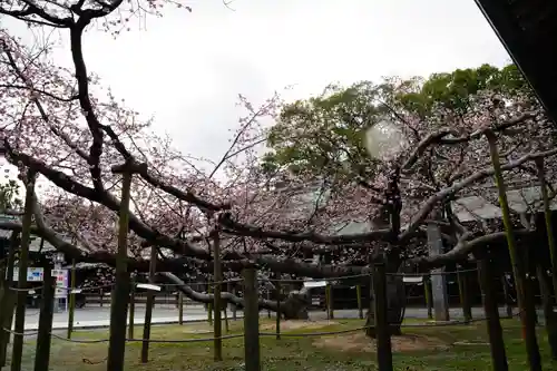 宮地嶽神社の自然