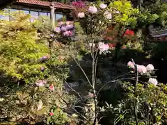 木舟山　順教寺の庭園