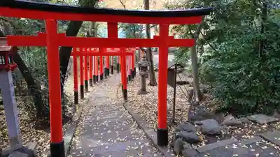 御霊神社(上御霊神社)の鳥居