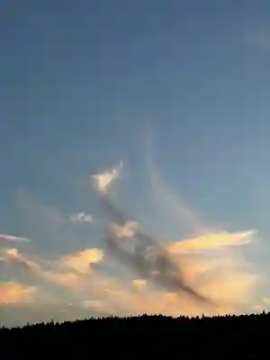 毛越寺(岩手県)