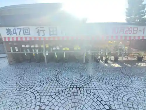 忍　諏訪神社・東照宮　(埼玉県)