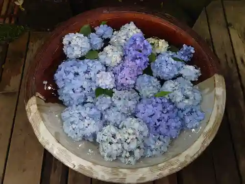 明月院の手水舎