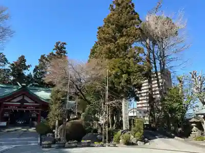 新橋浅間神社(静岡県)