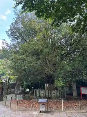 熊野速玉大社(和歌山県)