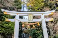 宝登山神社(埼玉県)