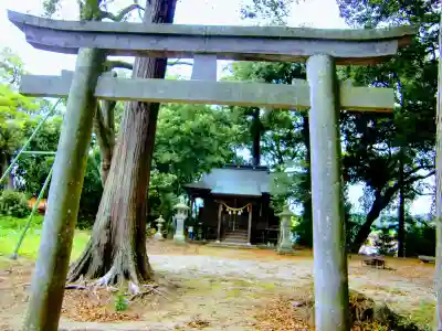 湯泉神社の鳥居