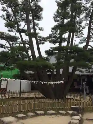 大願寺(広島県)