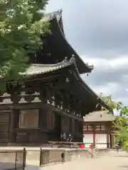 東寺（教王護国寺）(京都府)