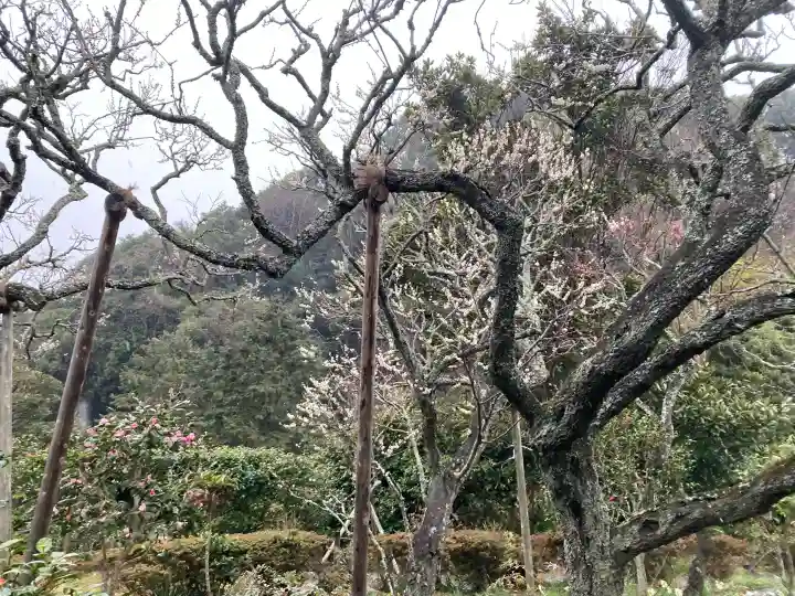 瑞泉寺の{uncategorized: "未分類", other: "その他", undefined: "問題あり", building: "その他建物", grave: "お墓", sacred_gate: "鳥居", guardian: "狛犬", statue: "像", buddha: "仏像", history: "歴史", nature: "自然", garden: "庭園", animal: "動物", pagoda: "塔", temizu: "手水舎", mountain_gate: "山門・神門", sanctuary: "本殿・本堂", subordinate: "末社・摂社", art: "芸術", scenery: "景色", jizo: "地蔵", ema: "絵馬", goshuin: "御朱印", omikuji: "おみくじ", items: "授与品その他", amulet: "お守り", goshuincho: "御朱印帳", eats: "食事", festival: "お祭り", votive_dance: "神楽", shichigosan: "七五三参", wedding: "結婚式", experience: "体験その他", initially: "初詣", around: "周辺", anti_infection: "感染症対策"}
