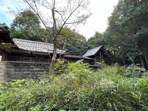 住吉神社の本殿・本堂