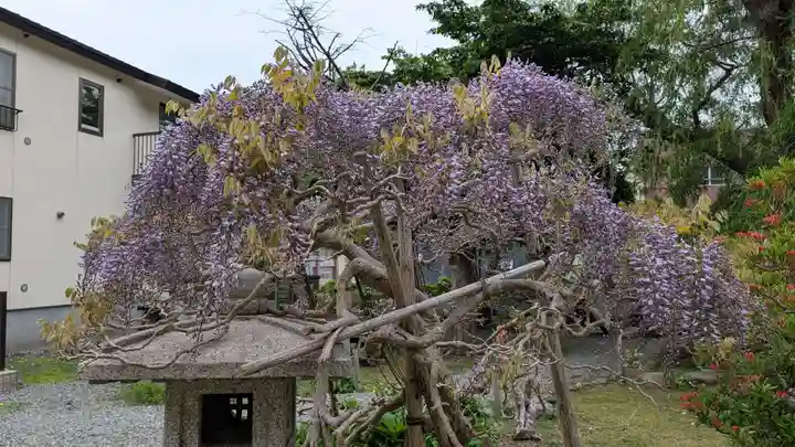 法雲寺(北海道)
