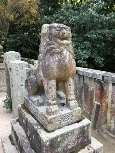 大山祇神社の狛犬