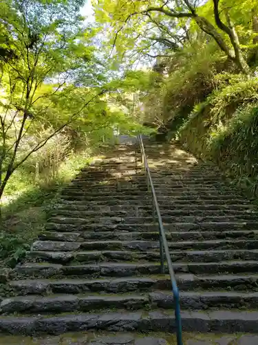 清水寺の庭園