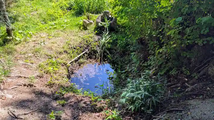卯子酉神社の自然