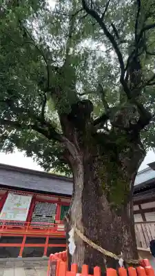 宇佐神宮(大分県)