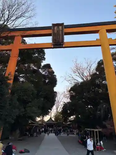 川越氷川神社(埼玉県)