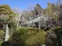 浄光明寺の庭園