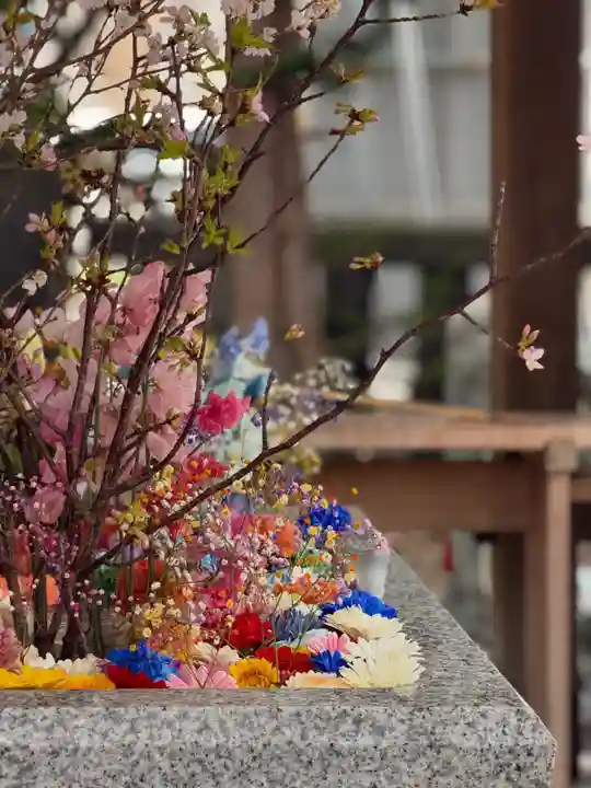 札幌諏訪神社の手水舎