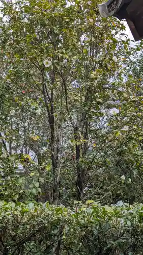 換骨堂（元真如堂）(京都府)