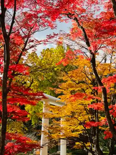 土津神社｜こどもと出世の神さまの景色