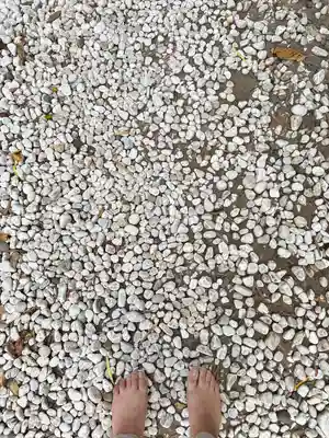 玉前神社(千葉県)