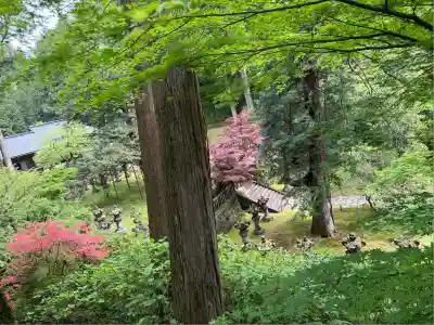 輪王寺(栃木県)