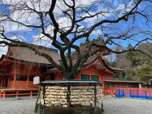 富士山本宮浅間大社(静岡県)