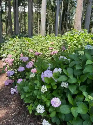 市杵島神社（高萩八幡宮境内社）(茨城県)