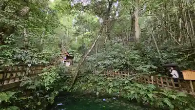 八重垣神社(島根県)
