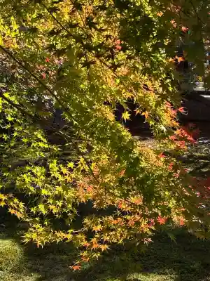 東福禅寺(東福寺)(京都府)