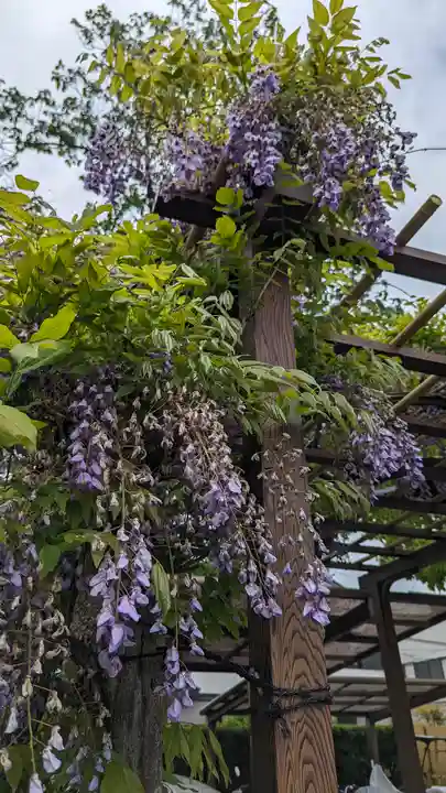 勝龍寺(京都府)
