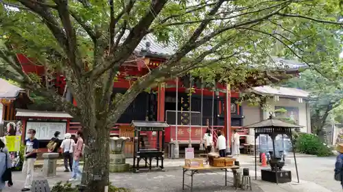 楽法寺（雨引観音）の本殿・本堂